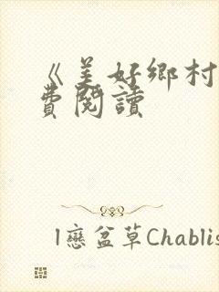 《美好乡村》免费阅读