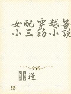 女配穿越各个做小三的小说