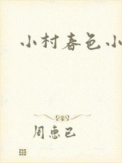 小村春色小说