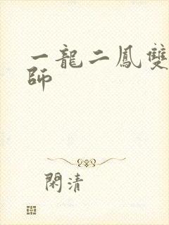 一龙二凤双飞老师