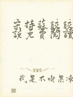 宋持苏皎皎的小说免费阅读