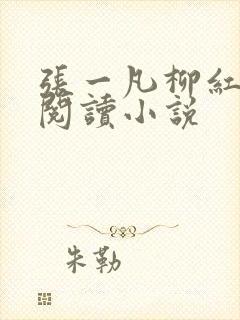张一凡柳红免费阅读小说