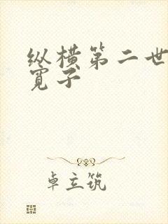 纵横第二世界 宽子