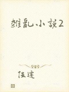 杂乱小说2