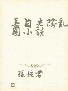 长日光阴乱作一团小说