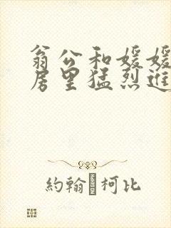 翁公和媛媛在厨房里猛烈进出