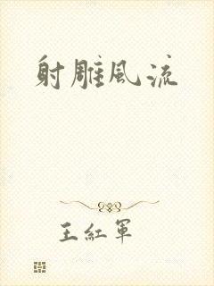 射雕风流