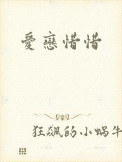 爱恋惜惜