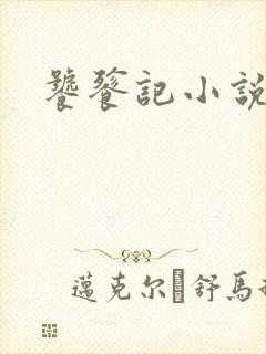 饕餮记小说
