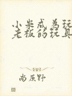 小米成为玩具店老板的玩具