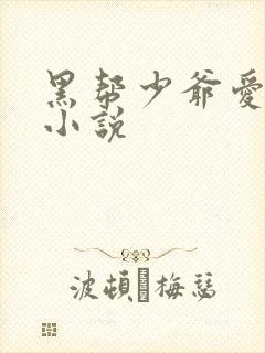 黑帮少爷爱上我小说