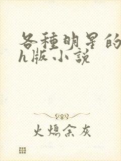 各种明星的综艺h版小说