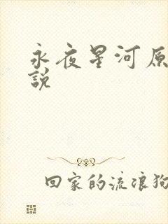 永夜星河原著小说