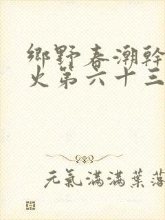 乡野春潮干柴烈火第六十三章