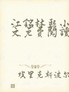 江铭林熙小说全文免费阅读