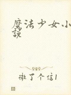 魔法少女小圆小说