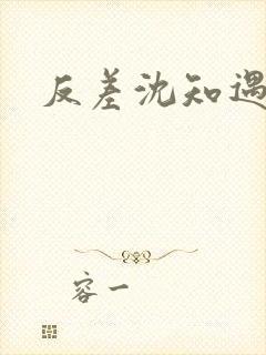 反差沈知遇晏应