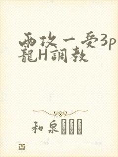 两攻一受3p双龙H调教