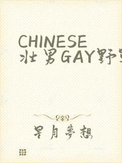 CHINESE壮男GAY野战强迫TUBE