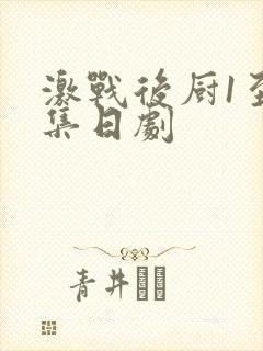 激战后厨1至5集日剧