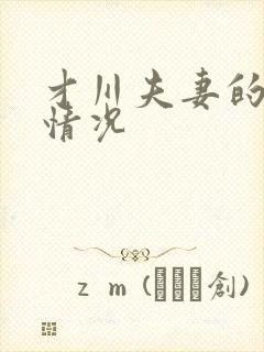 才川夫妻的恋爱情况