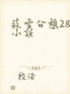 苏雪公憩28篇小说