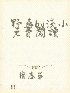 野桑by浅小说免费阅读