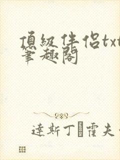 顶级伴侣txt笔趣阁