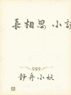 长相思 小说