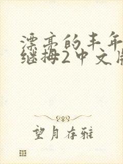 漂亮的丰年经的继拇2中文版