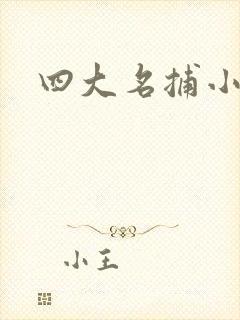 四大名捕小说