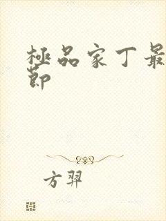 极品家丁最新章节