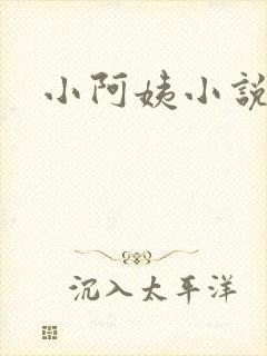 小阿姨小说