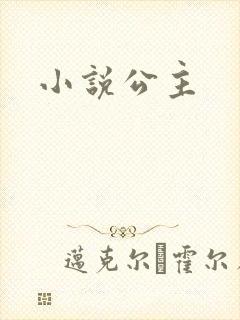 小说公主