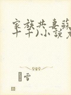 家族共妻苏苏(十千)小说免费