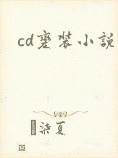 cd变装小说