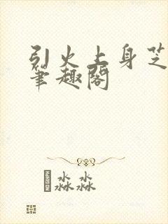 引火上身芝麻糖笔趣阁