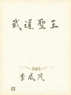 武道圣王