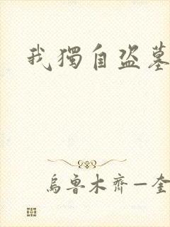 我独自盗墓