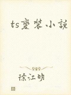 ts变装小说
