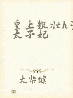 皇上粗壮h灌满太子妃