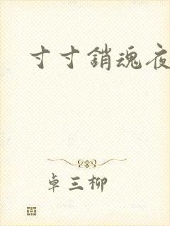 寸寸销魂夜春光