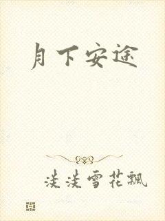 月下安途