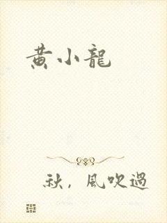 黄小龙