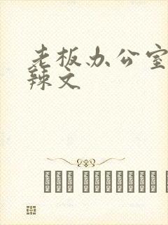 老板办公室系列辣文