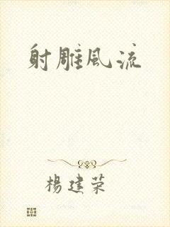 射雕风流