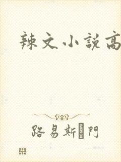 辣文小说高h