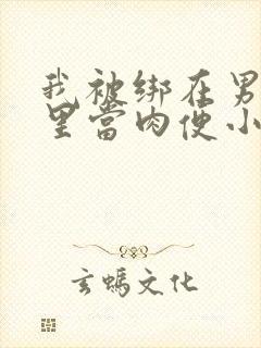 我被绑在男公厕里当肉便小说