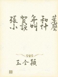 张贺年和叶繁姿小说叫什么名字