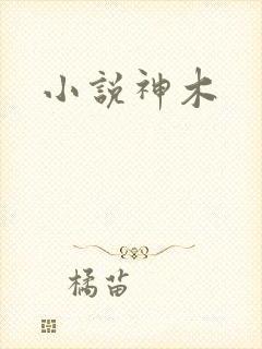 小说神木